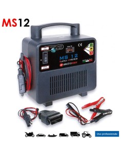 Salva Memorie Professionale batterie 12V mod MS12