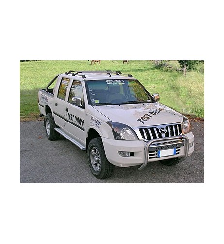 Tubi protezione posteriore inox lucido 60mm Gonow GA200