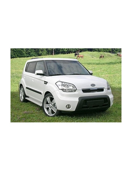 Tubo di protezione posteriore acciaio inox lucido 42mm Kia Soul dal 2009 al