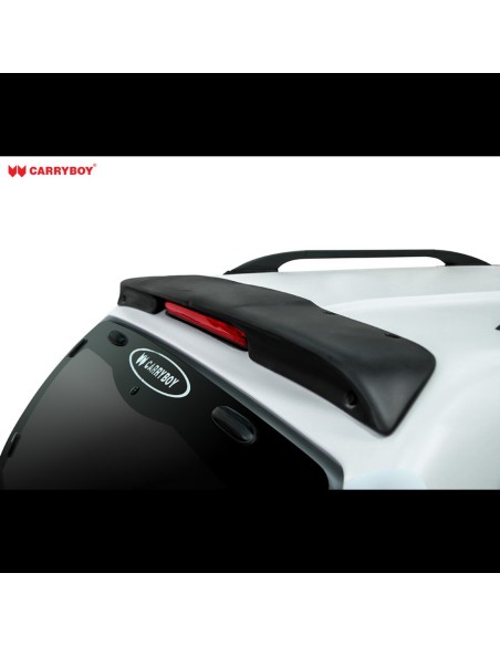 Hard Top senza vetri copertura cassone Nissan Navara Double Cab D40 2005 20