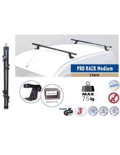 2 Barre portatutto per veicoli commerciali FORD TRANSIT CONNECT 2002 2013 2