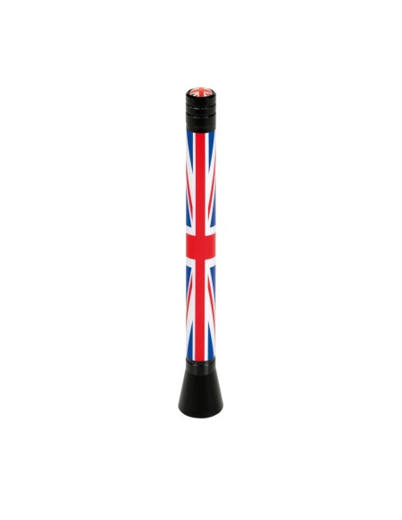Antenna da tetto auto sportiva 11cm U K 