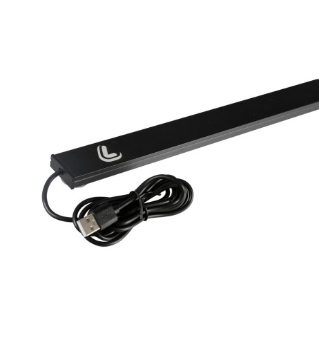 Bandiera luminosa 60cm struttura in alluminio 67 Led effetto neon USB