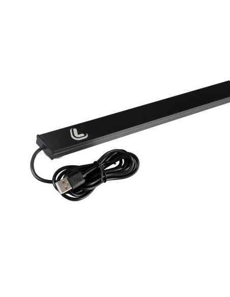 Bandiera luminosa 60cm struttura in alluminio 67 Led effetto neon USB