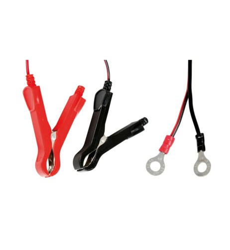 Caricabatteria mantenitore intelligente moto 6 12V 1A