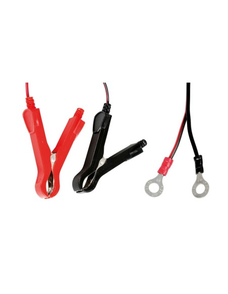 Caricabatteria mantenitore intelligente moto 6 12V 1A