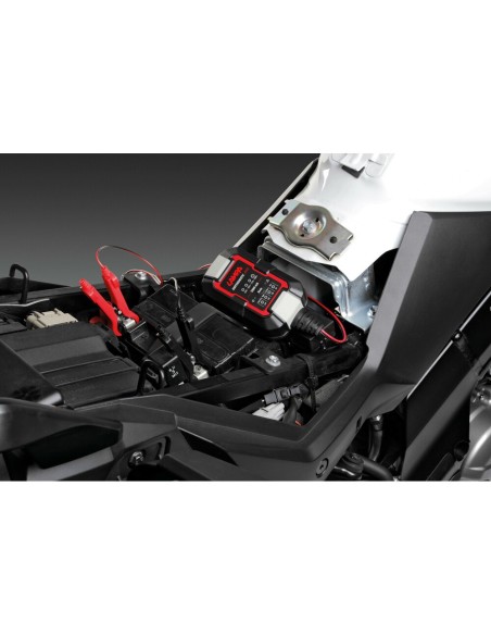 Caricabatteria mantenitore intelligente moto 6 12V 1A