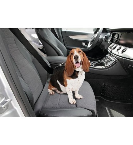 Cintura di sicurezza supplementare per pettorina o collare animali