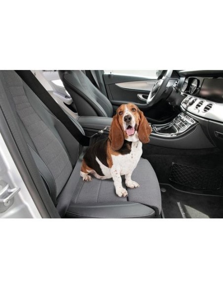 Cintura di sicurezza supplementare per pettorina o collare animali