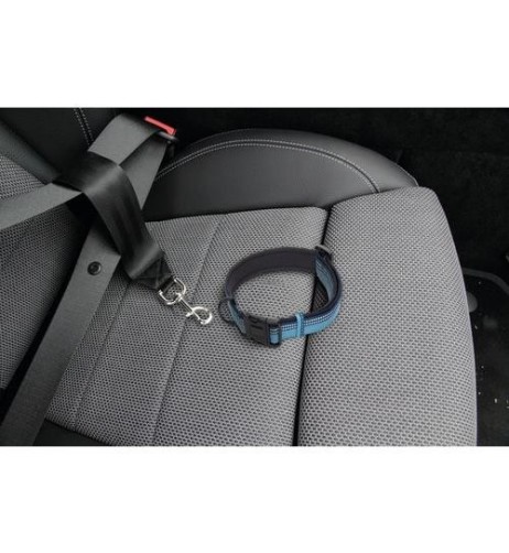 Cintura di sicurezza supplementare per pettorina o collare animali