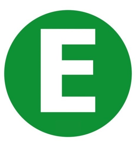 Contrassegno adesivo camion E veicolo ecologico