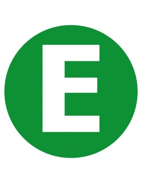 Contrassegno adesivo camion E veicolo ecologico