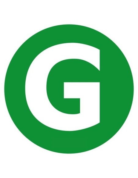 Contrassegno adesivo camion G veicolo silenzioso