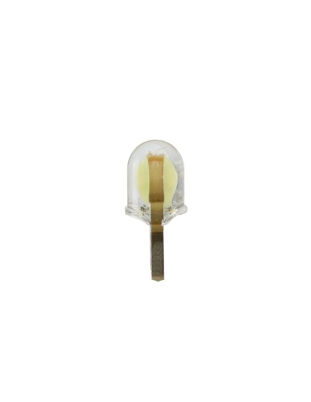 Coppia lampadine camion T10 W2 1x9 5d 2 Led COB 24 32V Bianco