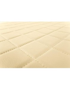 Coppia tappeti camion in similpelle imbottiti Beige Scania R serie 7 pneu 2