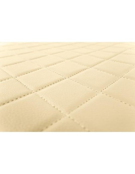 Coppia tappeti camion in similpelle imbottiti colore Beige MAN TGX 2007 2