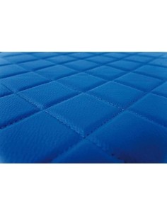 Coppia tappeti camion similpelle imbottiti Blu Scania R Serie 6 recaro pn 2