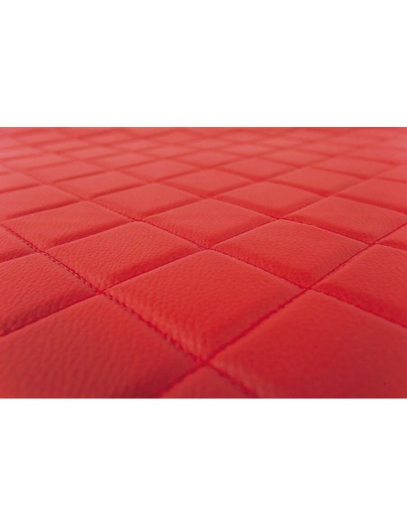 Coppia tappeti camion similpelle imbottiti Rosso Scania R Serie 6 2009 20