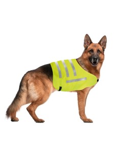 Dog Safety veste riflettente per cani Taglia L 2