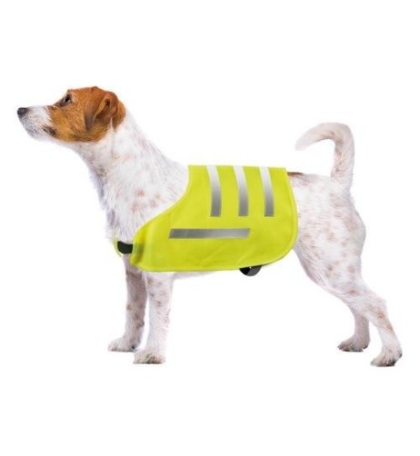 Dog Safety veste riflettente per cani Taglia S