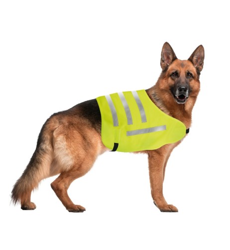 Dog Safety veste riflettente per cani Taglia XL