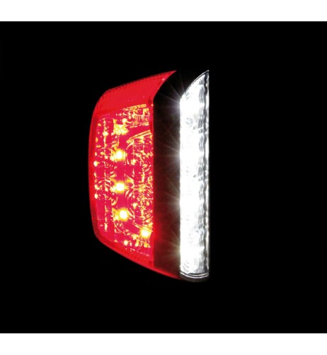 Fanale posteriore a LED illuminazione targa e luce di posizione 12 24V