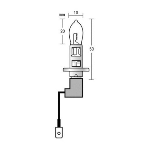 Kit coppia lampadine alogene Xenium Race H1 100W 5500K 12V lampadine W5W