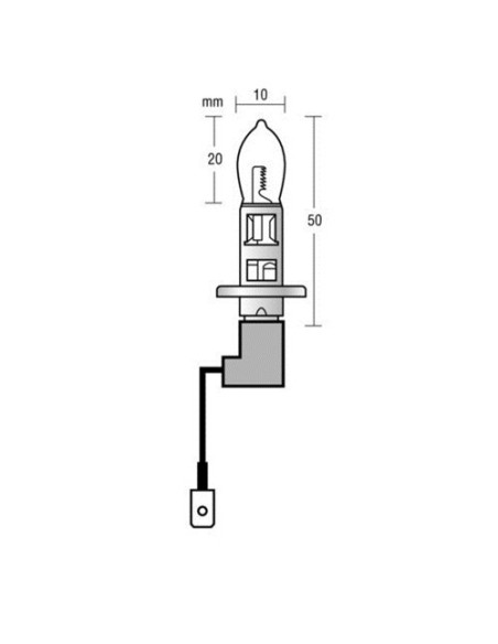 Kit coppia lampadine alogene Xenium Race H1 100W 5500K 12V lampadine W5W