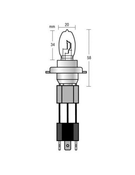 Kit coppia lampadine alogene Xenium Race H4 90 100W 5500K 12V lampadine W