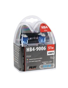 Kit lampadine blu xenon 20 HB4 12V 55W P22d 4500K