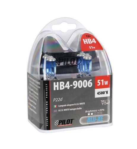 Kit lampadine blu xenon 20 HB4 12V 55W P22d 4500K