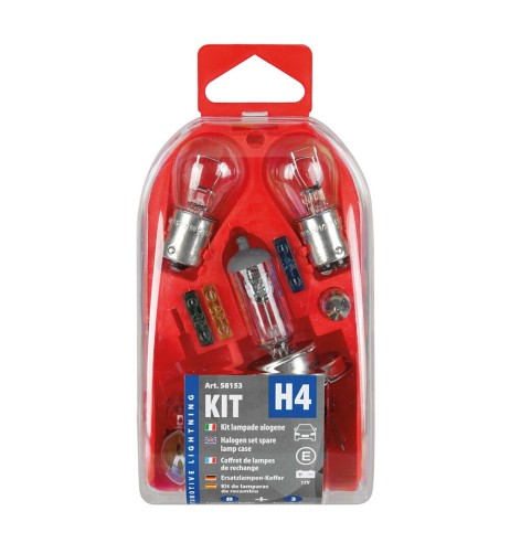 Kit lampadine di ricambio 12V H4 P21W P21 5W R5W T4W C5W T5 W5W fusibil