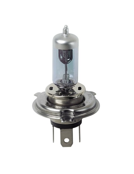 Kit lampadine plasma xenon 30 H4 12V 60 55W P43t 3600K