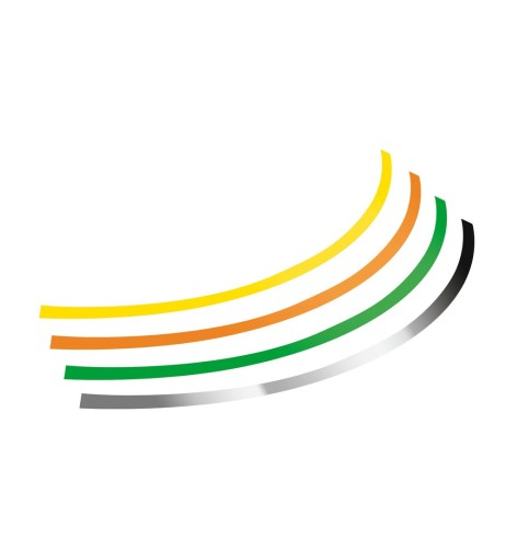 Kit Profili adesivi ruote auto moto per cerchi 14 15 16 Cromo