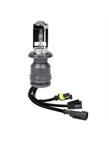 Lampadina HID xenon H4 Bi Xenon 12 24V 5000K