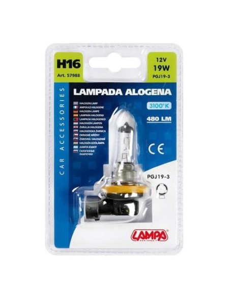 Lampadina singola alogena 12V H16 PGJ19 3 19W 3100K 480LM