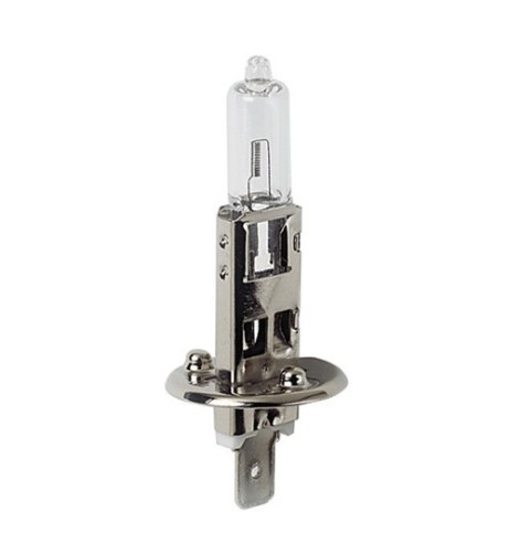 Lampadine alogene Standard Line H1 55W P14 5s 12V moto scooter