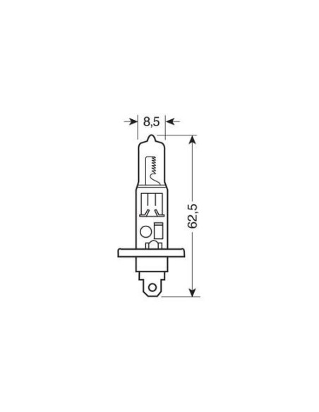 Lampadine alogene Standard Line H1 55W P14 5s 12V moto scooter