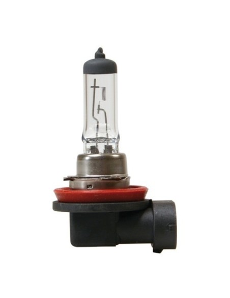 Lampadine alogene Standard Line H8 35W PGJ19 1 12V moto scooter
