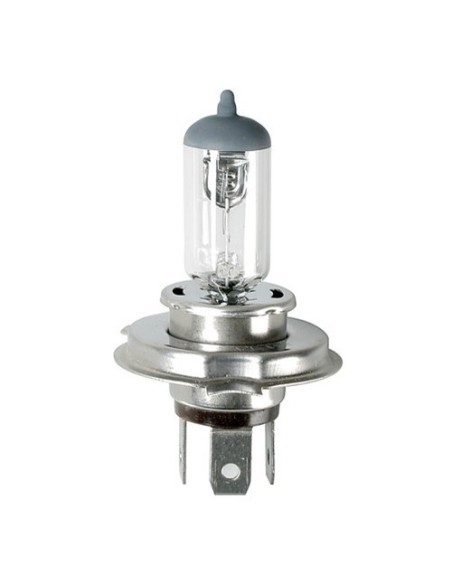 Lampadine alogene Standard Line HS1 35W PX43t 12V moto scooter