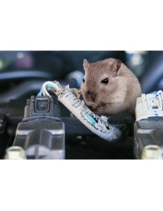 Repellente roditori ad ultrasuoni basso consumo 12V 2