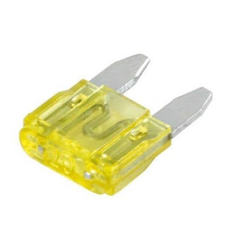 Set 100 micro fusibili lamellari monoamperaggio 12 32V 20A