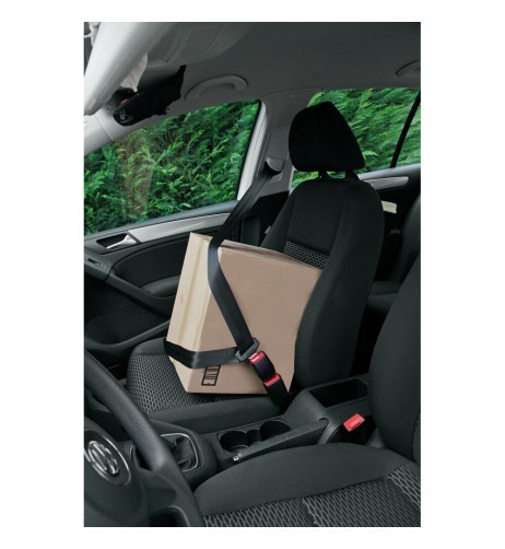 Zitto annulla allarme sonoro cintura sicurezza