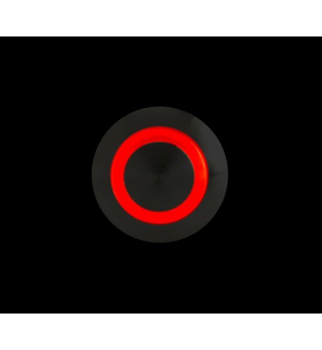 Interruttore a pulsante in acciaio inox con spia a Led 12 24V Rosso