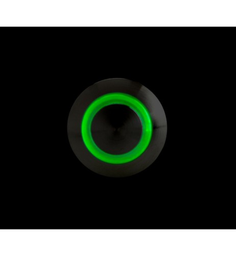 Interruttore a pulsante in acciaio inox con spia a Led 12 24V Verde