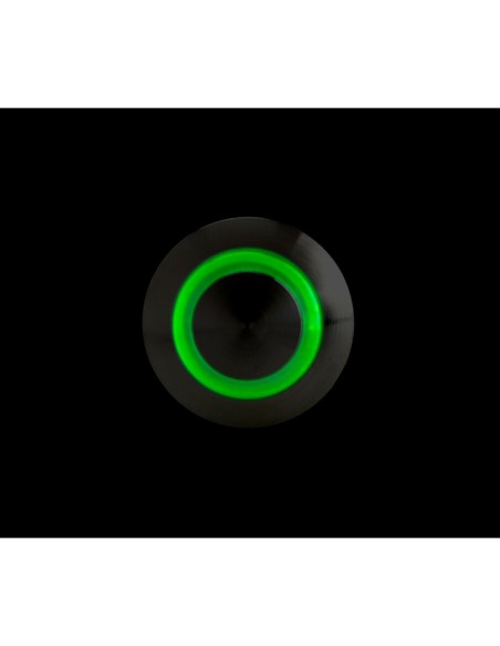 Interruttore a pulsante in acciaio inox con spia a Led 12 24V Verde