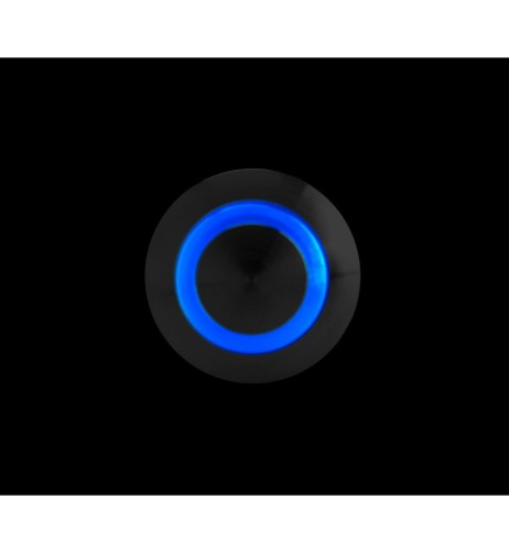 Interruttore a pulsante in acciaio inox con spia a Led 12 24V Blu