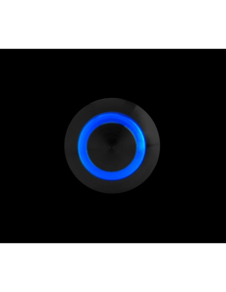 Interruttore a pulsante in acciaio inox con spia a Led 12 24V Blu