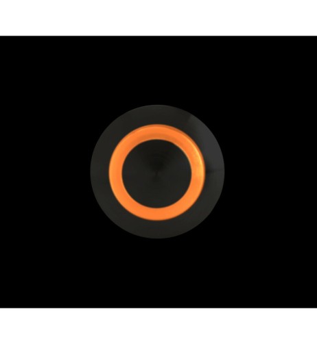 Interruttore a pulsante in acciaio inox con spia a Led 12 24V Arancio