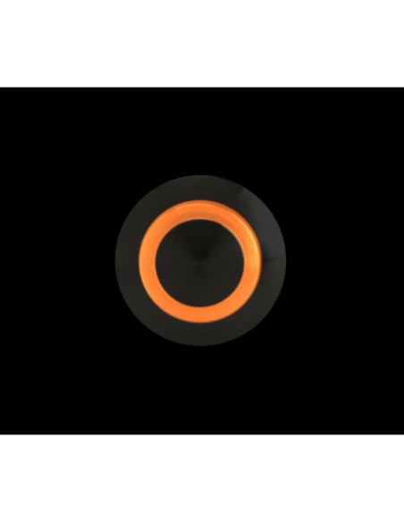 Interruttore a pulsante in acciaio inox con spia a Led 12 24V Arancio